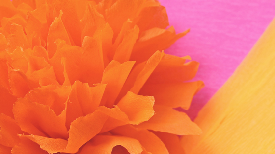 Instructivo para flores de papel crepé mexicanas por el día de los muertos