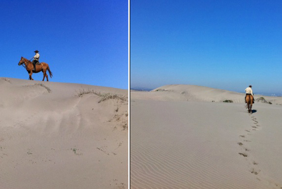 live life beach-calligraphy ritoque beach chile dunes riding horses live life beach-calligraphy ritoque beach chile dunes riding horses