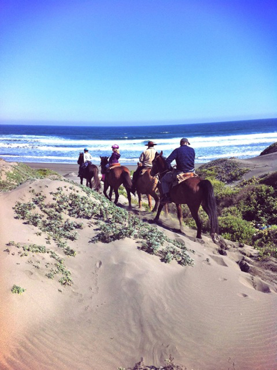 live life beach-calligraphy ritoque beach chile horseback riding live life beach-calligraphy ritoque beach chile horseback riding